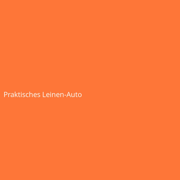 Praktisches Leinen-Auto