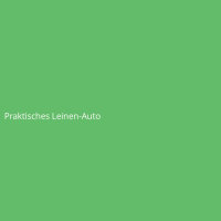 Praktisches Leinen-Auto